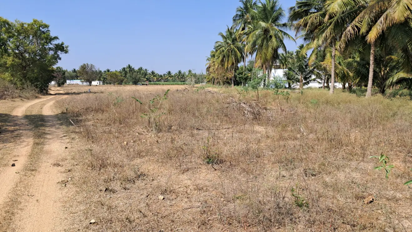 Complete view of 3 acre land in Annur