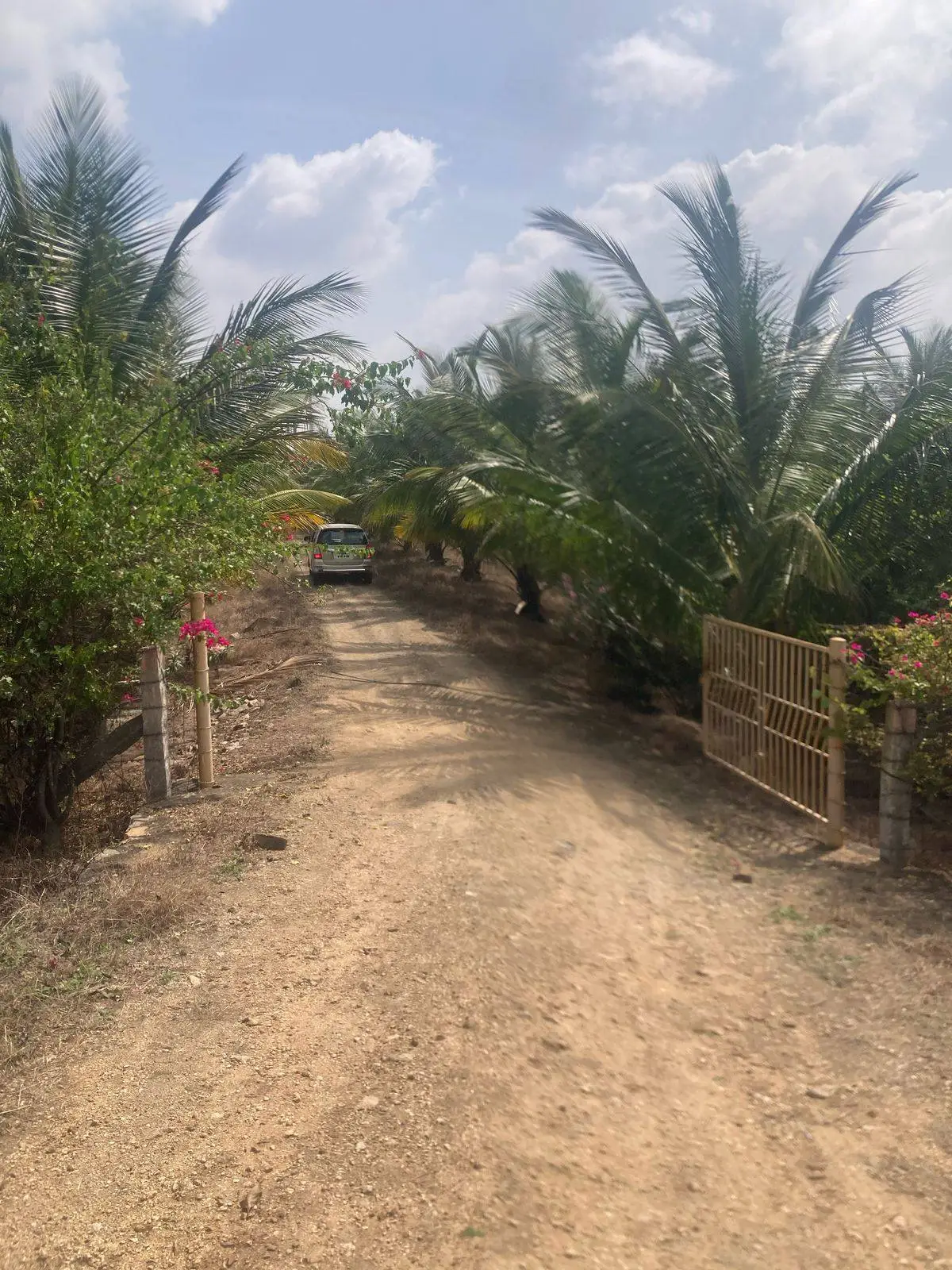 Land for sale in Pollachi, Coimbatore - fenced entry and boundary view
