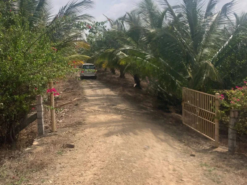 Land for sale in Pollachi, Coimbatore - fenced entry and boundary view of the 18.5 acre farmland