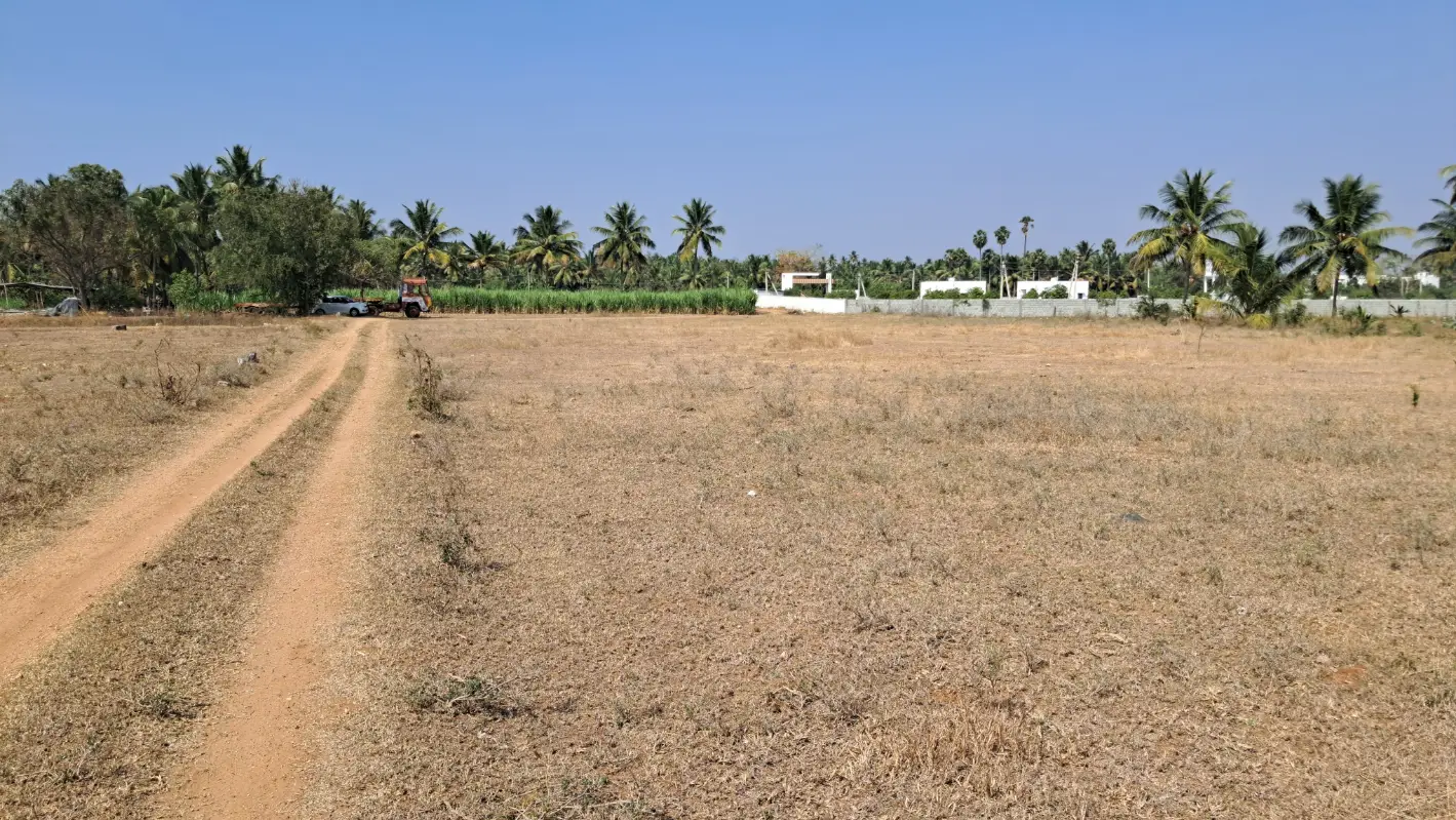 Land for sale in Annur, Coimbatore - border view of the 3 acre parcel