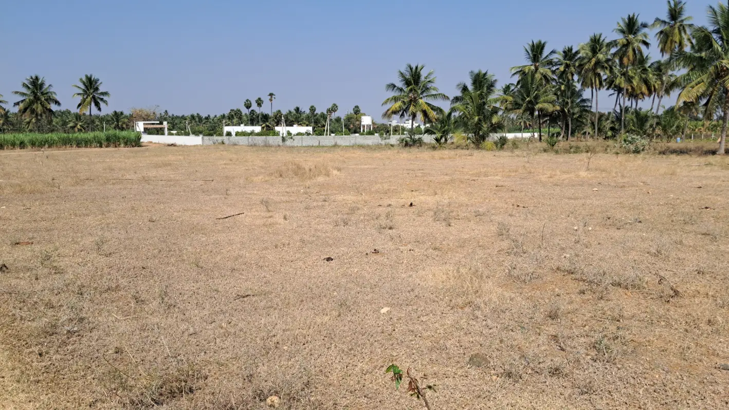 Land for sale in Annur, Coimbatore - full view of the 3 acre parcel