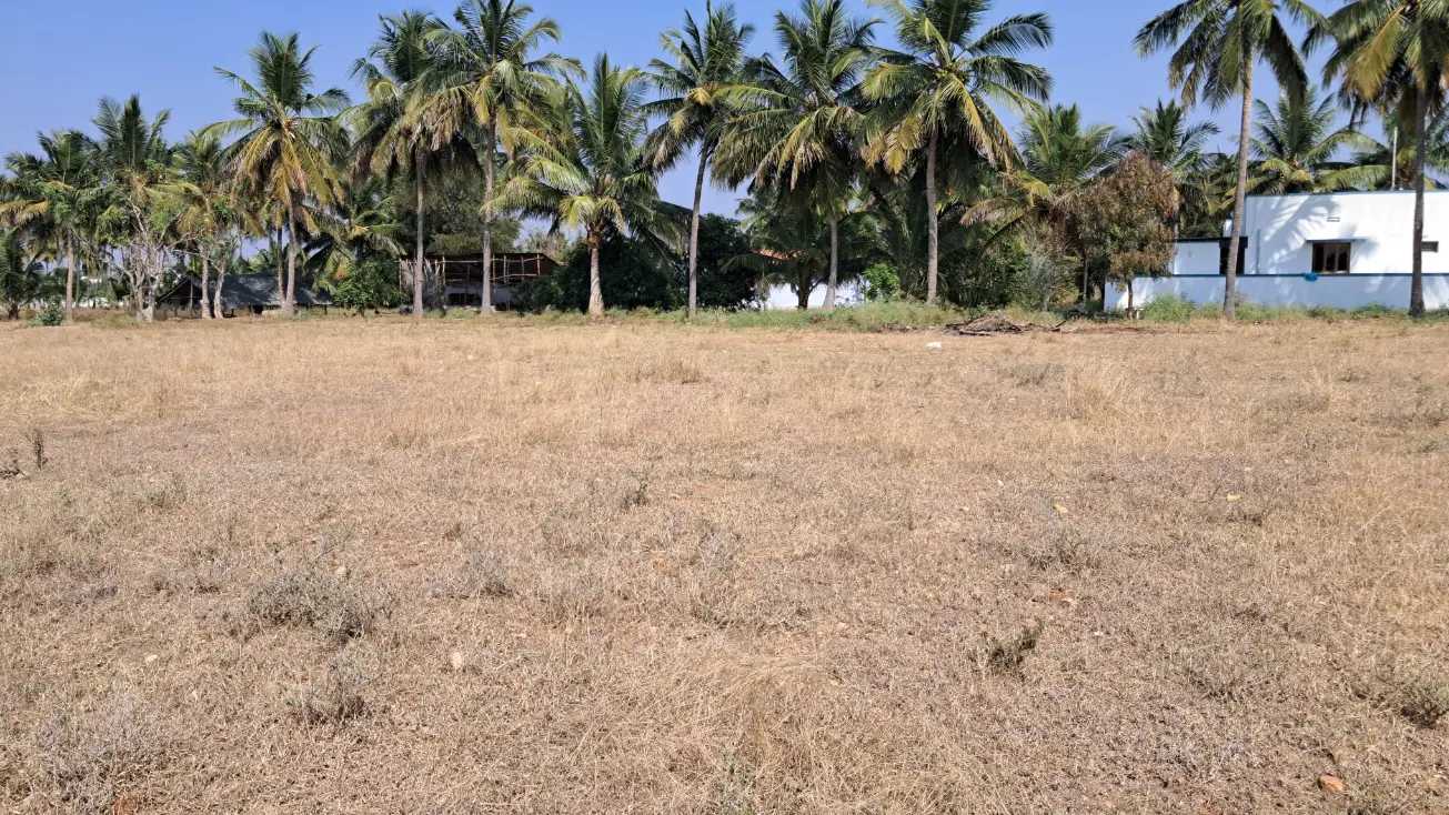 Land for sale in Annur, Coimbatore - premium semman soil close-up